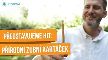 Jaká je smlouva o výpůjčce?