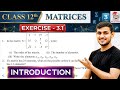 Matrices Class 12 Complete Introduction | Exercise 3.1 Basics | Introduction Chapter3