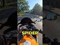There’s a Spider on my Motorcycle!