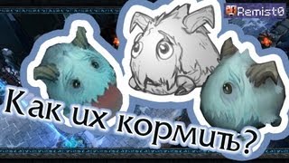 Как кормить пушистиков на ARAM? League of Legends.