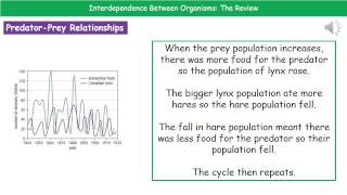B2 9   Interdependence between Organisms Foundation Tier Summary