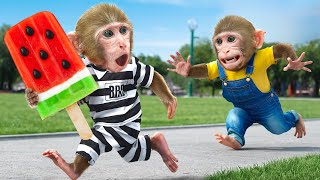 KiKi Monkey try to catch World's Biggest Watermelon Ice Cream from thief | KUDO ANIMAL KIKI