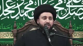 السيد محمد القصاب - وبكم يمسك السماء أن تقع على الأرض إلا بإذنه