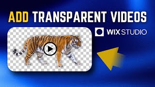 How To Add Transparent Videos in Wix Studio | Step-by-Step