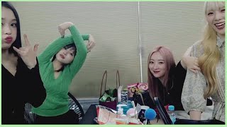 welcome to jiu, sua, siyeon & gahyeon's live 🐰🐥🐺🦊 드림캐쳐 지유 수아 시연 가현 라이브 환영합니다~
