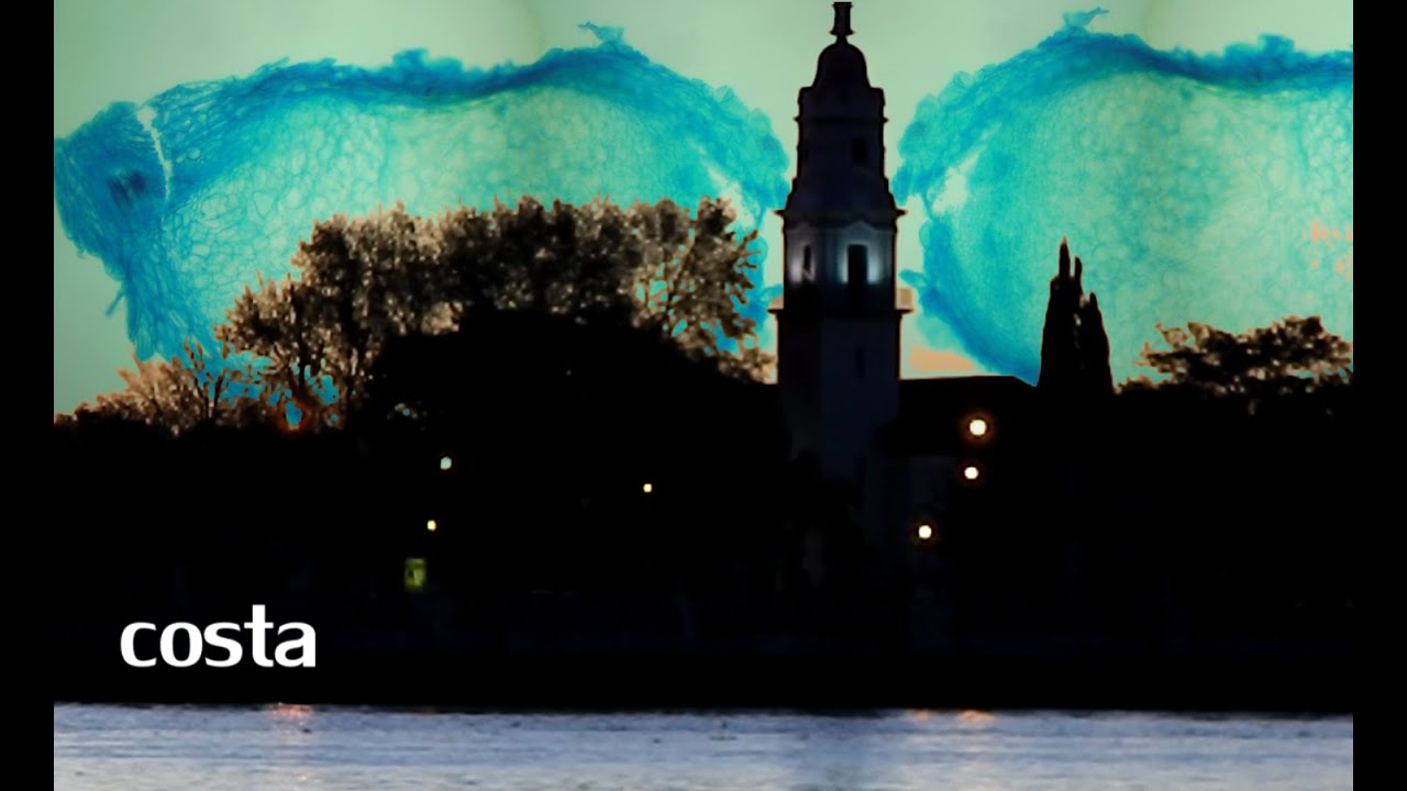 35. costa [ coast ]