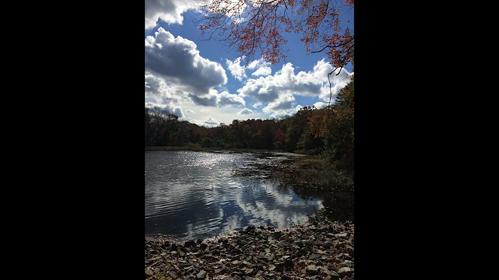 Sharon - Hammershop Pond on Ames Street