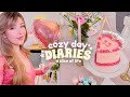 COZY DAY DIARIES 🎀 My Pinterest-Inspired Birthday, Sip & Paint Party, Cozy pink vibes