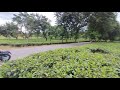 Binnakandi Tea Garden, Cachar, Assam...