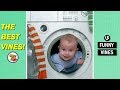 You CAN'T WIN this LAUGH CHALLENGE - World's FUNNIEST KIDS, BABIES & TODDLERS Vines!