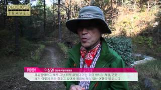 Delicious Travel - 양양 해오름 여행