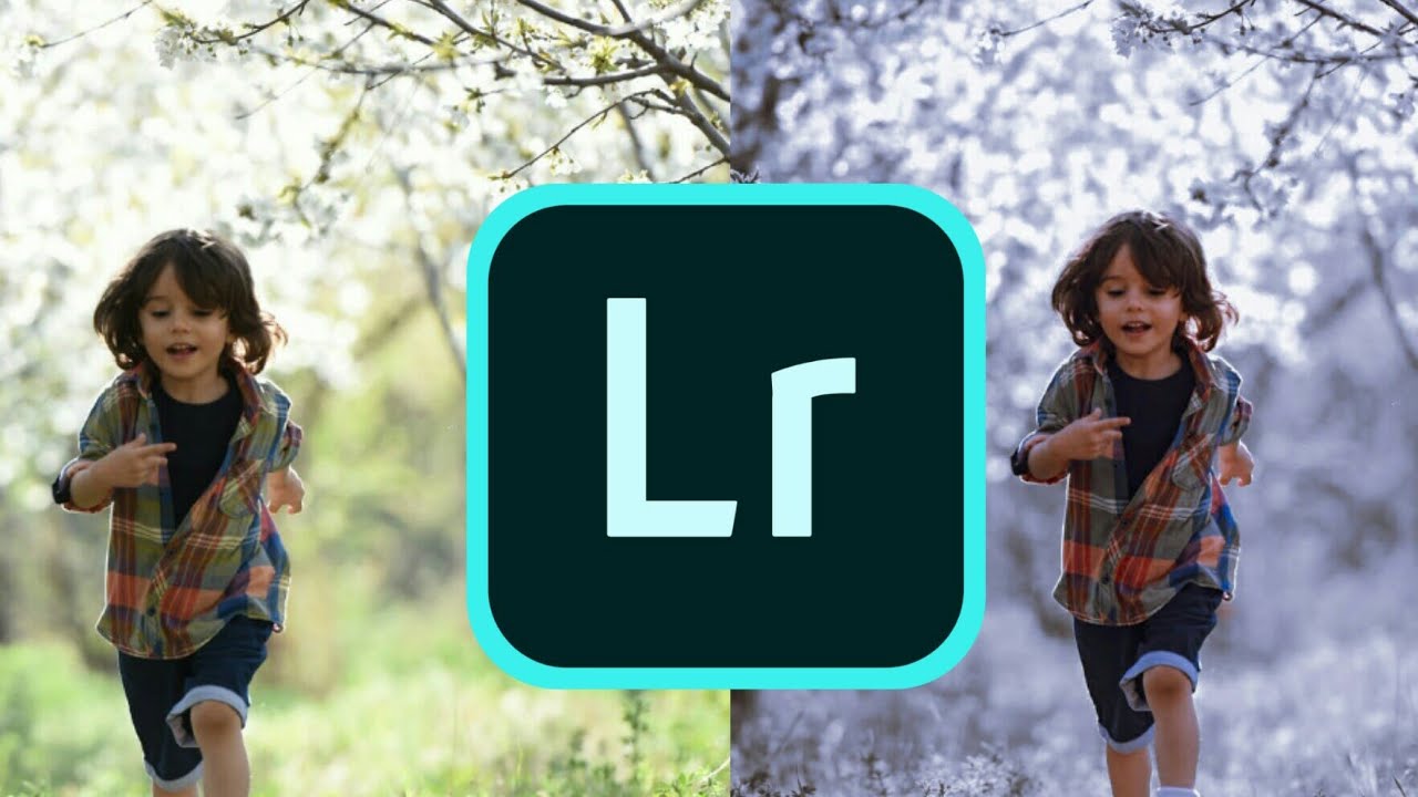 Lightroom Tutorial Purple Tone Photo Effect | Lightroom cc Moody Purple |