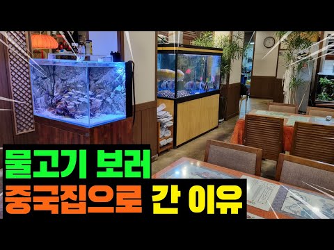 중국집에서 물고기 수천만원어치 키우는 남자..ㄷㄷ