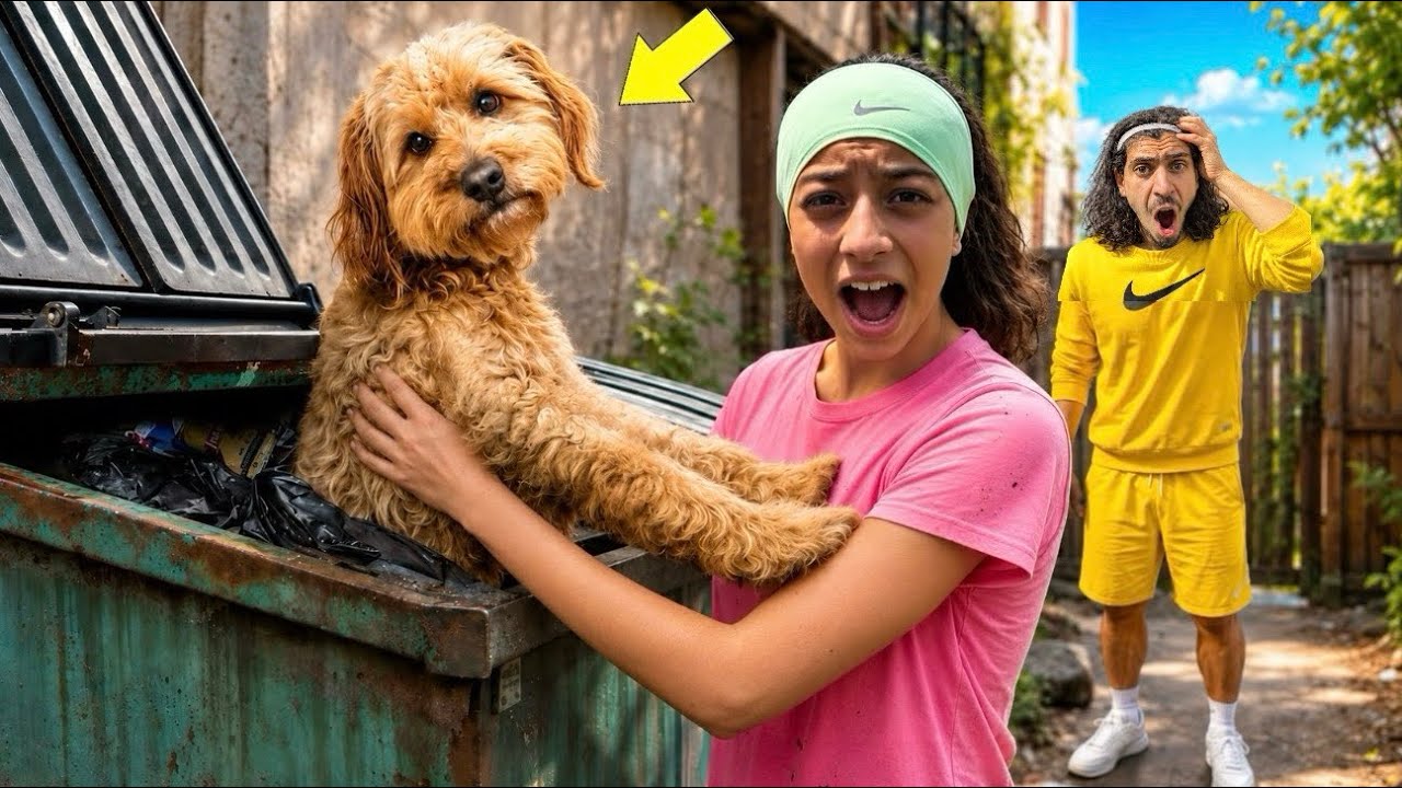 ON A TROUVÉ UN CHIEN ABANDONNÉ DANS UNE POUBELLE… 😭🐶 ( court métrage )