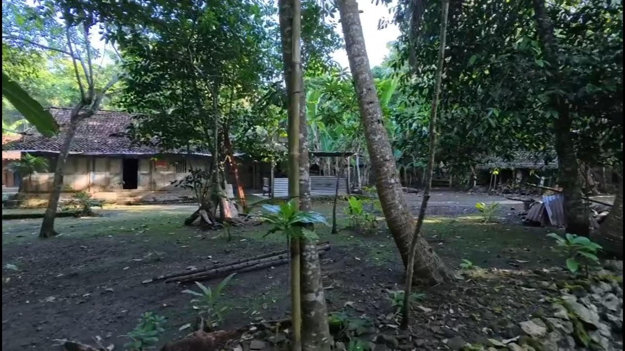 Медленная жизнь: Утренние часы в деревне Гириджати | Деревня на южной оконечности Явы?!