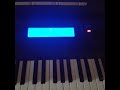 Wobble Baby On The Casio WK 500