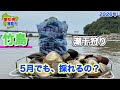 今年は当たり年。アサリもハマグリも埋蔵量がスゴイ👍