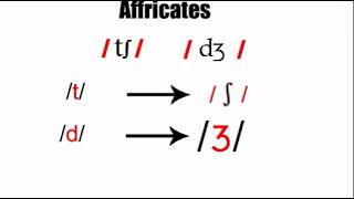 Affricates 2 :phonetics course