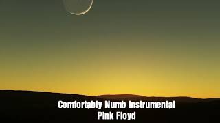 Comfortably Numb Instrumental  Pink Floyd