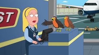 Family Guy - Birds Need To Fly