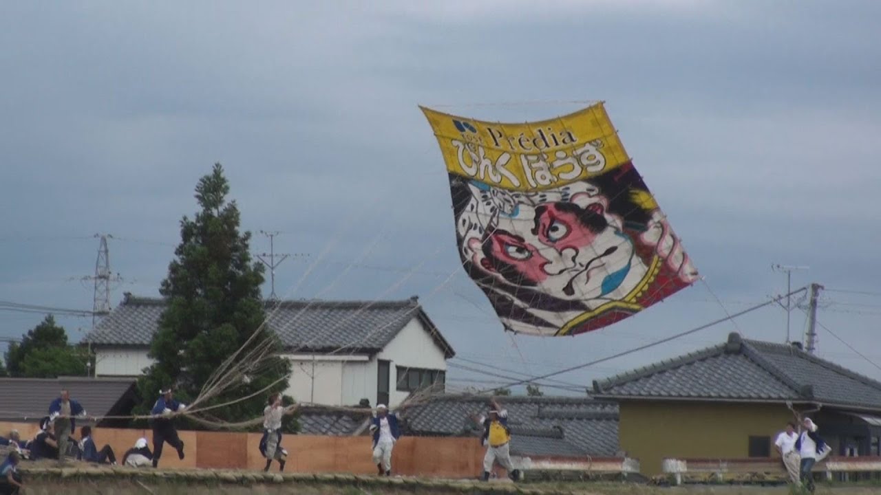 大凧 fukuwa_t-401-700