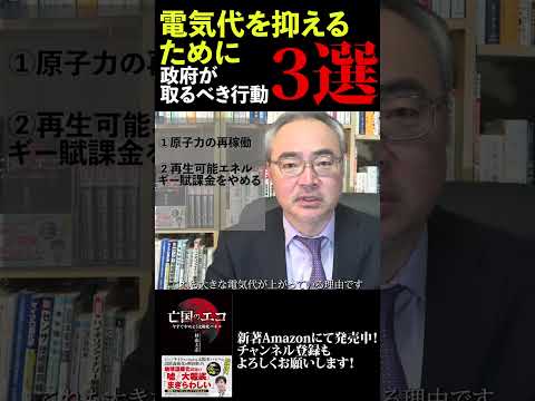 電気代を抑えるために政府がとるべき行動3選 - 杉山大志_キヤノングローバル戦略研究所