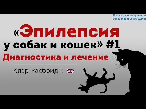Эпилепсия у собак и кошек. Диагностика и лечение. Epilepsy in pets