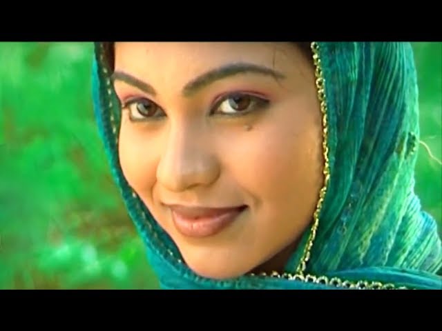 ഉഷ ഉതുപ്പും ആബിദ് കണ്ണൂരും പാടിയ ഒരു കിടിലൻ ഗാനം  | Arippo Thirippo | Abid Kannur | Usha Udhupp