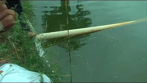 Como elevar o pH da água do tanque de peixes?