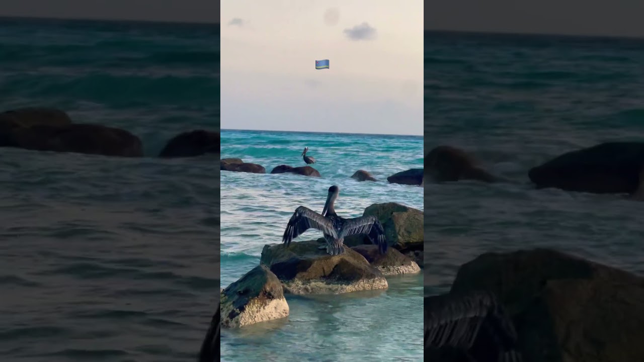 I want to retire here 😍 