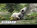 Bernard Bear | A Bunch of Coconuts AND MORE | Cartoons for Children | Full Episodes