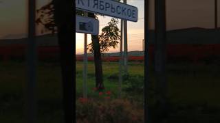 Крым маки вдоль железной дороги #крым #маки #ржд