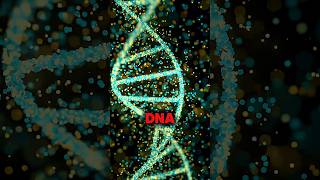 Inside Every Dog… A Wolf? 👀