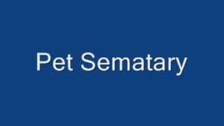 Video thumbnail of "Rammstein/ pet sematary"