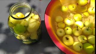 Квашені (мочені) яблука                            fermented apples