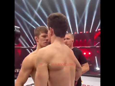 Бой шавхал