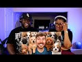 Kidd and Cee Reacts To Mr Beast Rescued 100 Abandoned Dogs