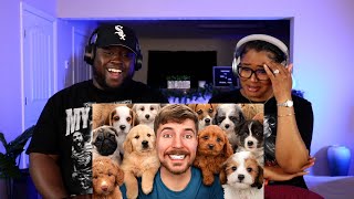 Kidd and Cee Reacts To Mr Beast Rescued 100 Abandoned Dogs