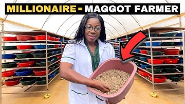 She Built a Farm That Produces Maggots Which Generate Millions