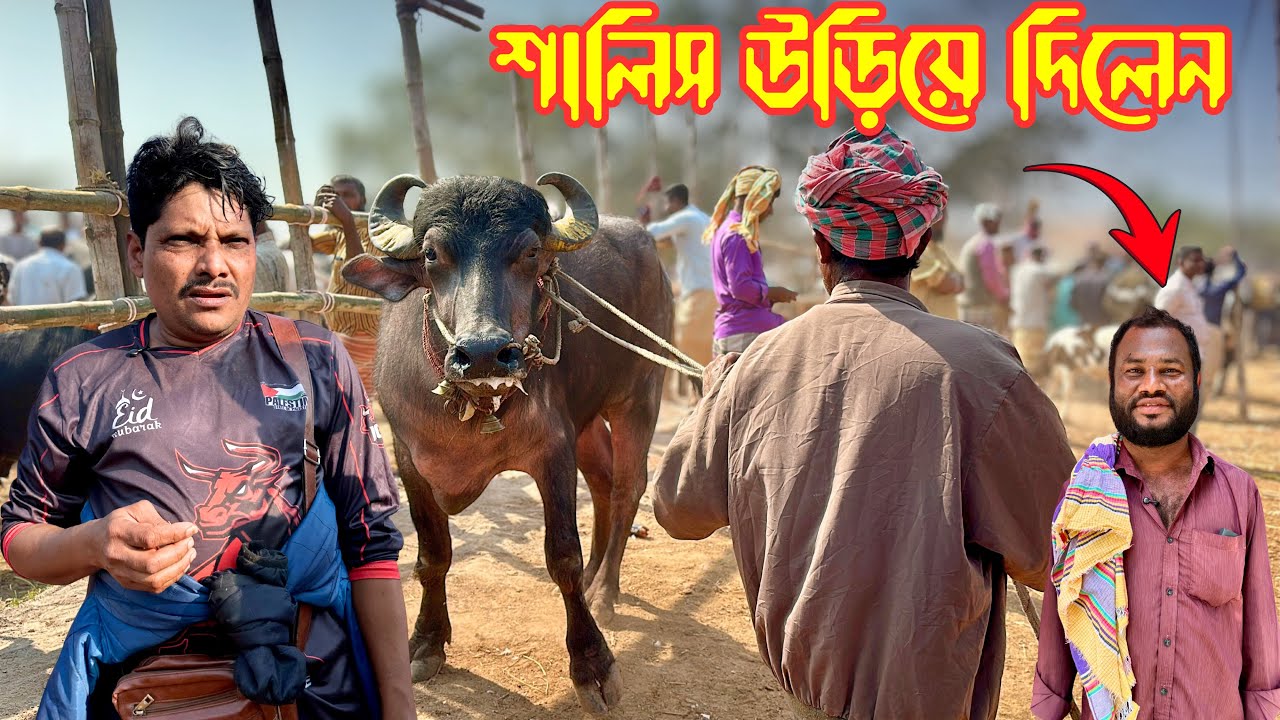 অভিজ্ঞ উজ্জ্বল ব্যাপারীর শালিশ উড়িয়ে দিলেন আকরাম ভাই! 🔥 | Rajshahi City Haat Buffalo Deal 2026