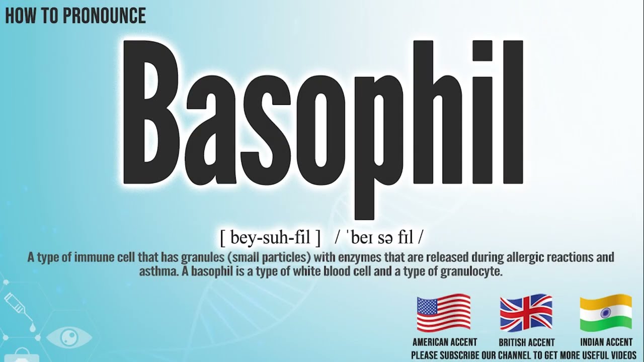 Basophil Pronunciation | How to Pronounce (say) Basophil CORRECTLY | Medical Meaning