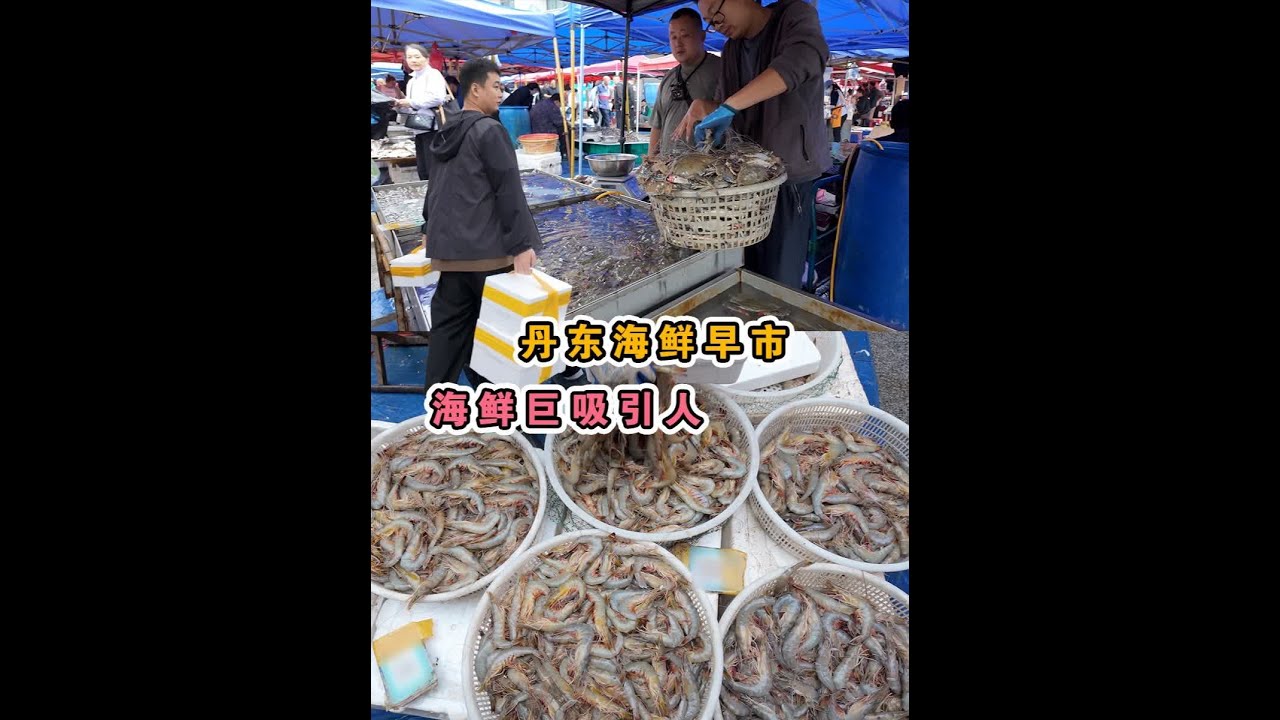 丹东这个海鲜市场，我太喜欢啦，一口气800公里带回家 