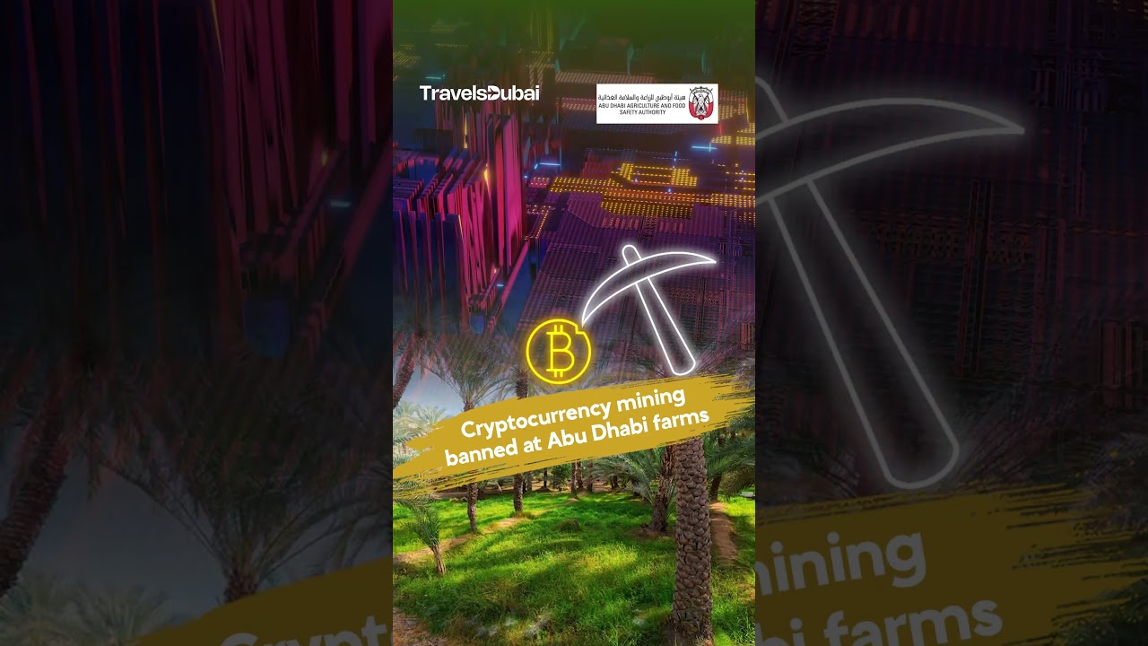 Crypto miner dubai (88) foto