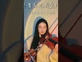 Violin