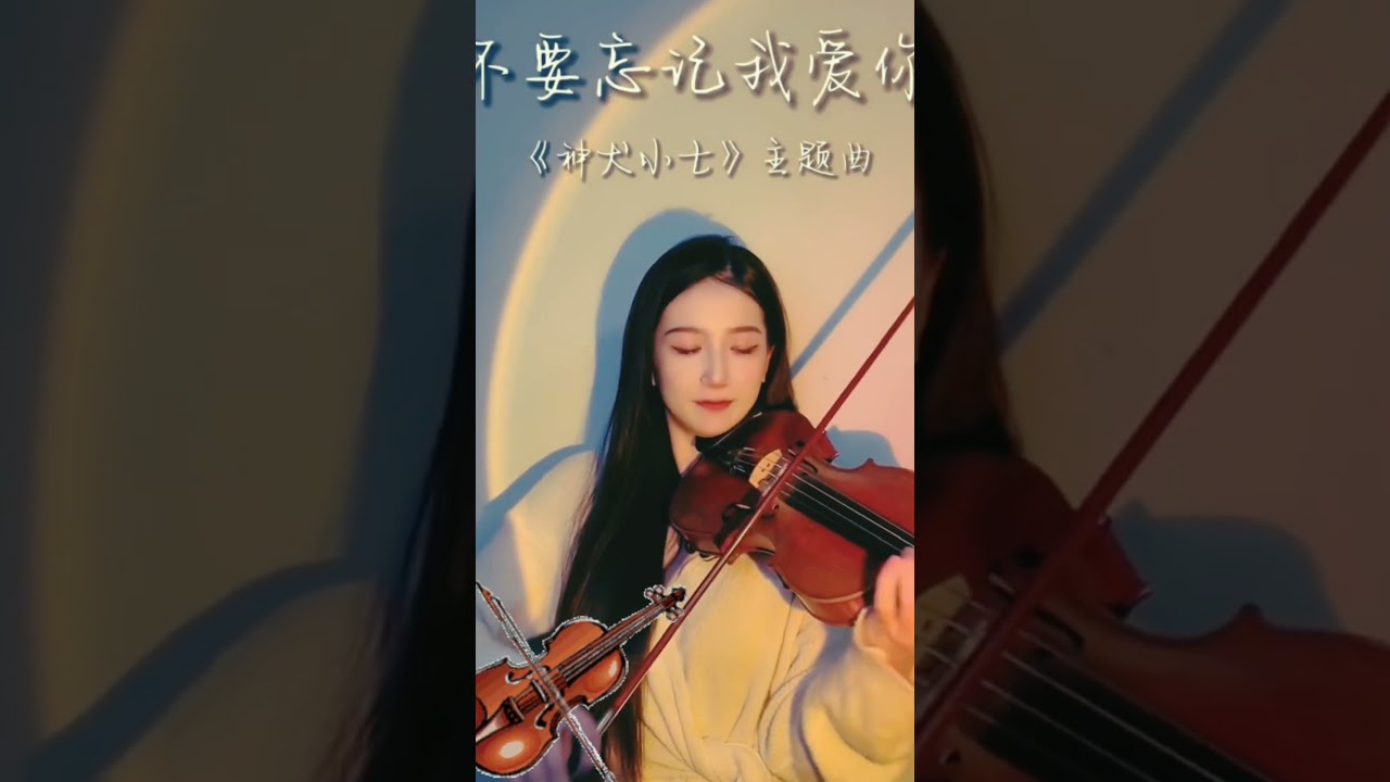 Violin