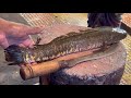 Amazing big sola fish cutting in bangladesh fish market  fish cutting skills