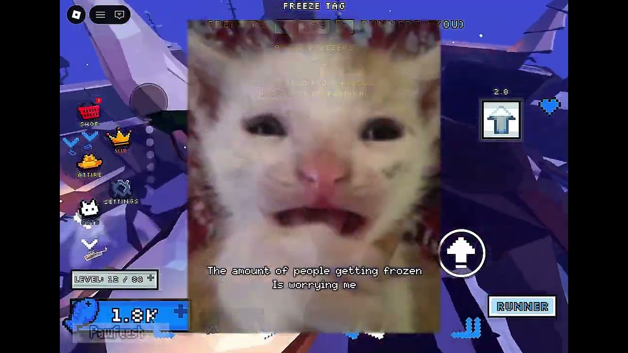 Meow Madness gameplay video thumbnail