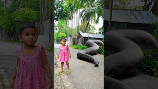 Anaconda Snake Chasing Boy video ,P4 🐍 #Shorts Resimi