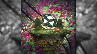 TIMELAPSE | trippy nature - by Simon M.