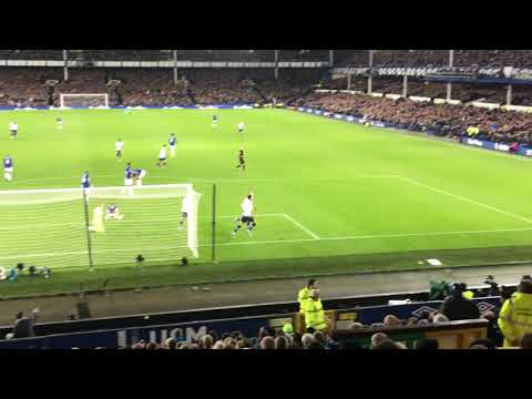 Everton 1-1 Tottenham Hotspur | Dele Alli ⚽️